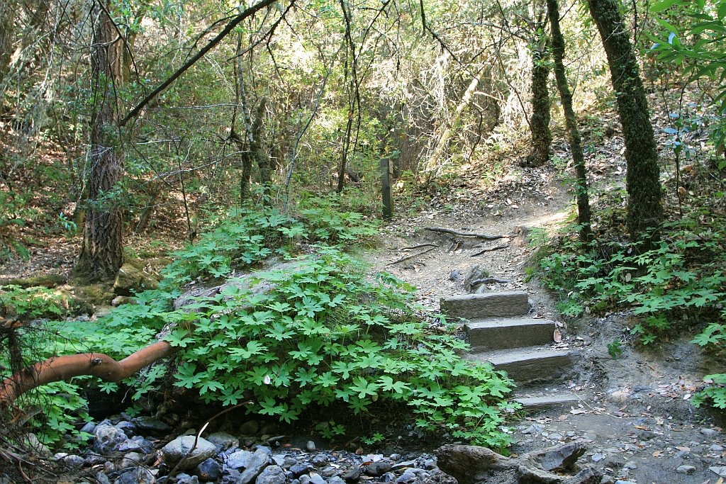 Montebello Open Space Preserve by grey3000