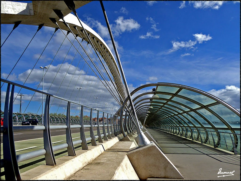 160407-07 ZARAGOZA RANILLAS by Víctor Manuel Mamblo…