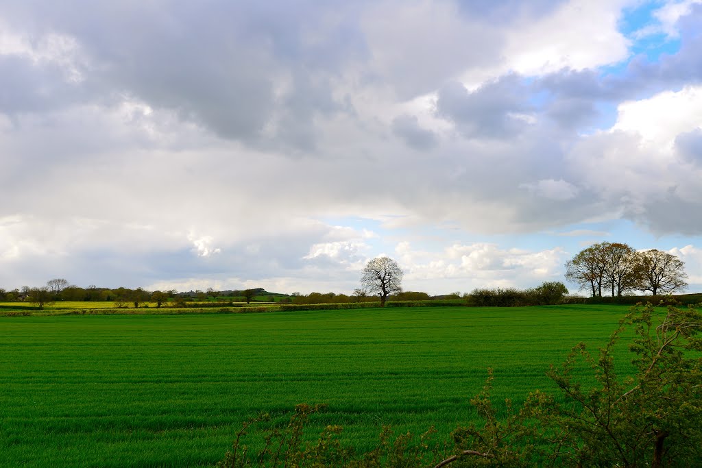 Bank holiday clouds over Gnosall by Shaun Jones