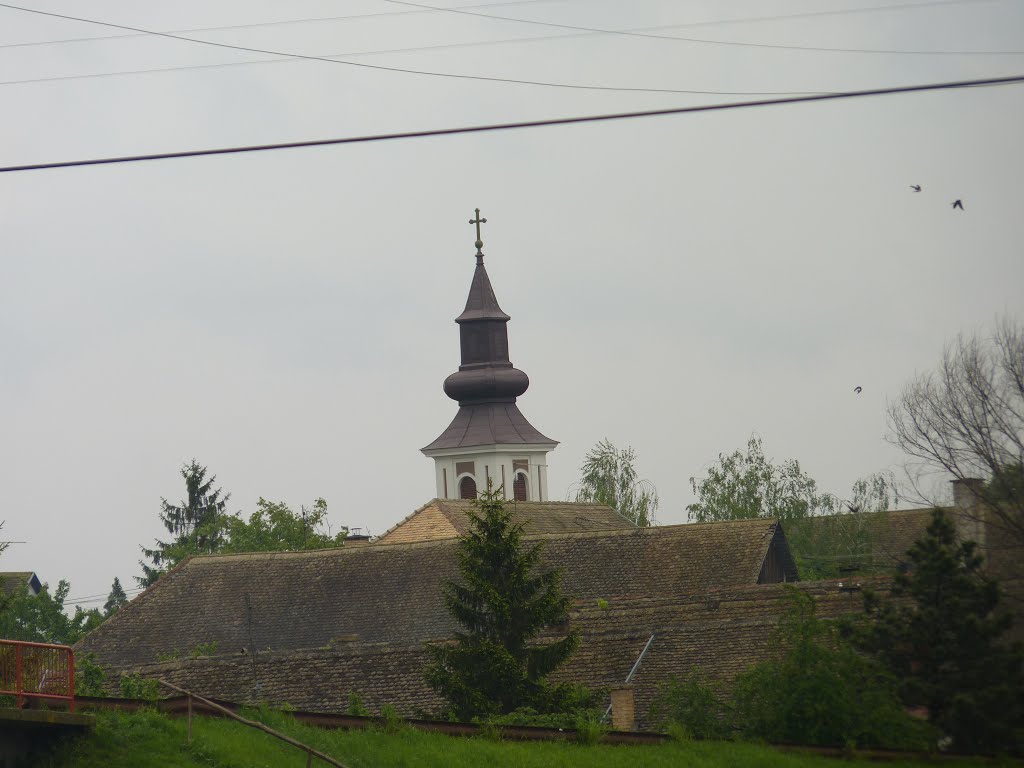 Srpski Miletić, Serbia by Alexandar Jovanovic