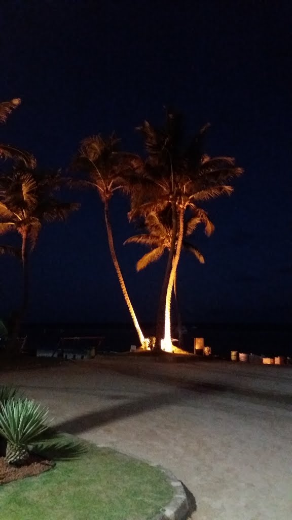 Praia do Francês, Mal. Deodoro - AL, Brazil by Hermes Peixoto