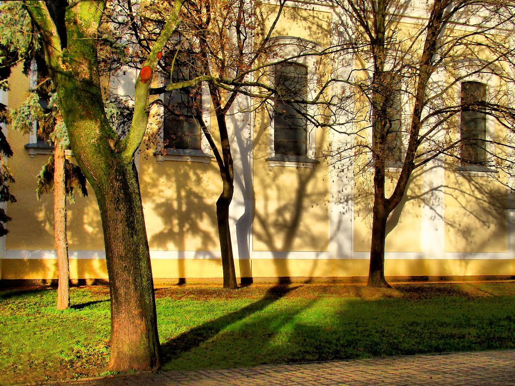 2016.01. - Hódmezővásárhely, shadow play on the wall of the church before a storm - Hódmezővásárhely, árnyjáték a templom falán egy vihar előtt by Péter Farsang