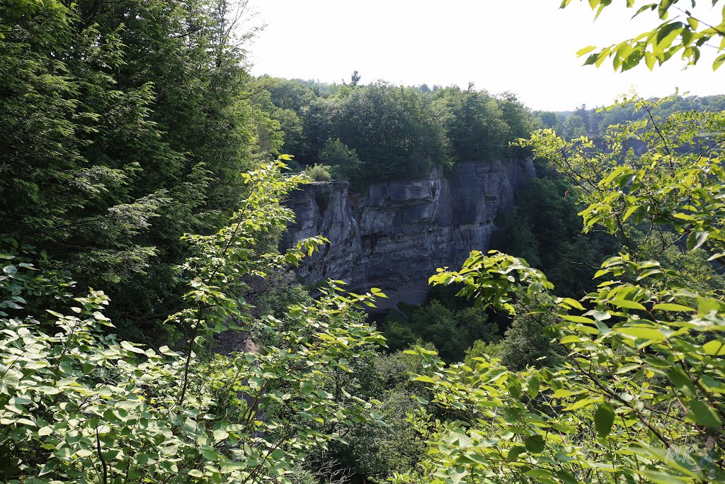 Mine Lot Falls view of from Escarpment Trail, - John Boyd Thacher State Park, - New Scotland, Albany County, New York, United States. - July 6, 2015. by mariok40