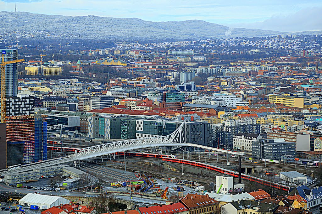 Oslo, View from Ekkerbergsletta, Norwegia/Norway by FaSon