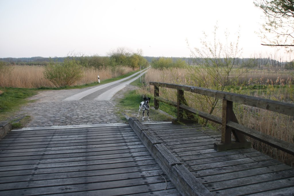 Fotos Buschmähns Welt by Buschmähn von Masure…