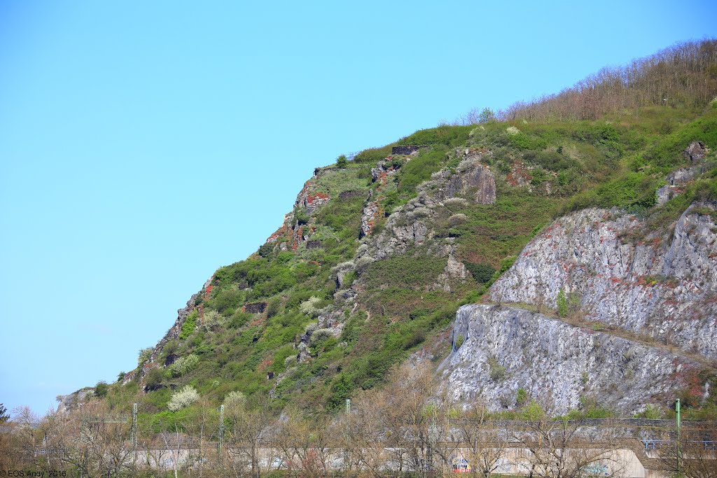 Andernach, Germany by EOS6D