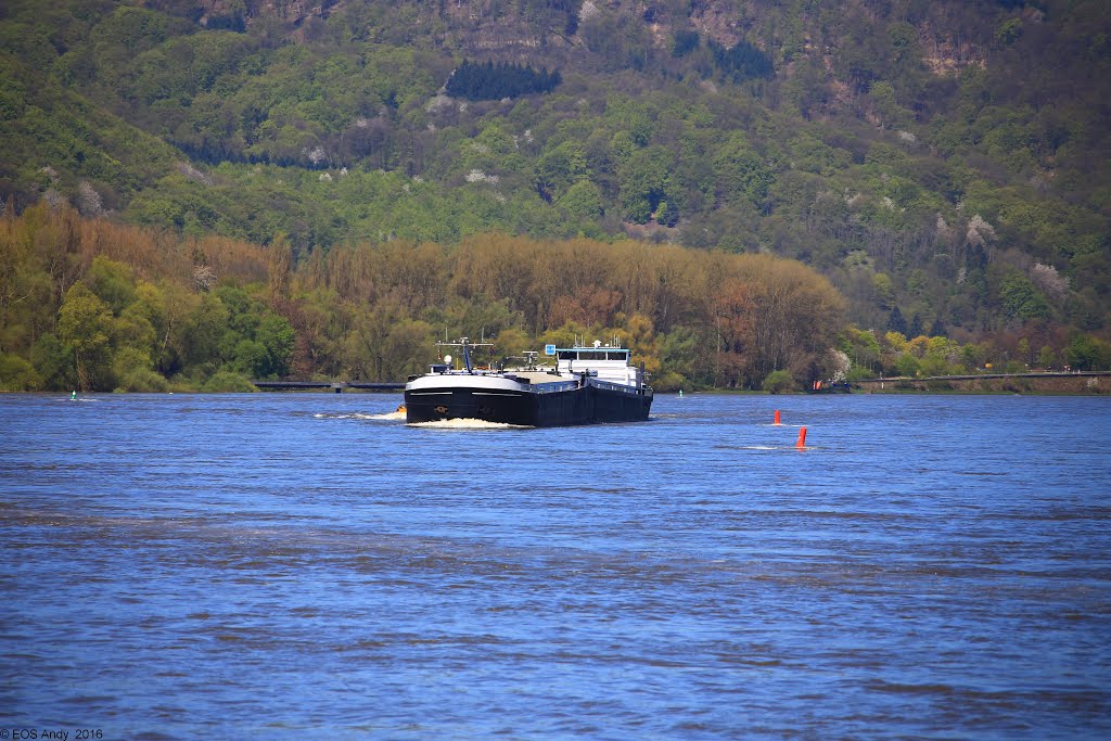 Andernach, Germany by EOS6D