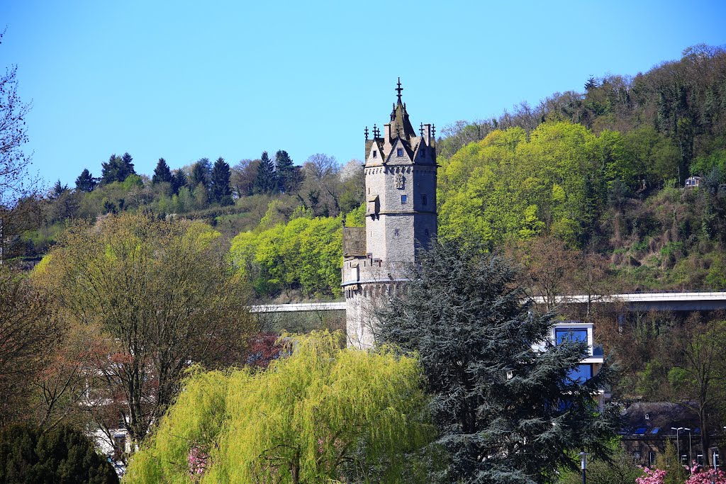 Andernach, Germany by EOS6D