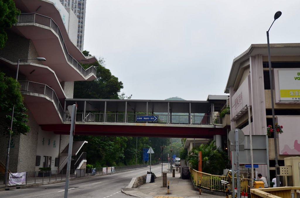 Kam Chuk Kok, Hong Kong by Kin Hung Chan