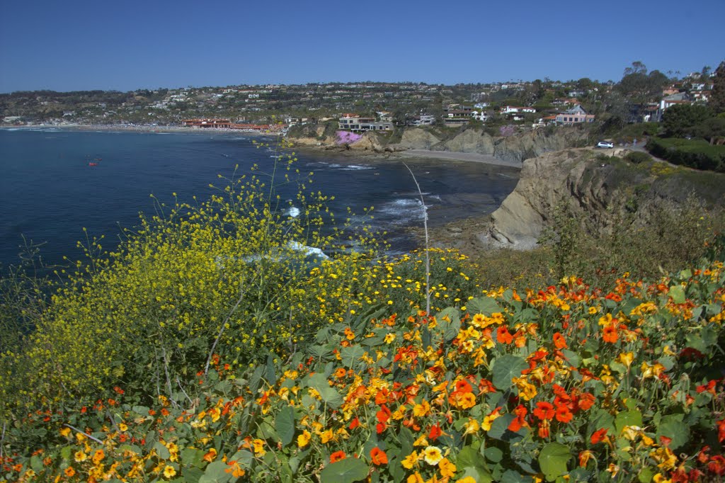 Near Devil's Slides on Coast Walk by Hoyt Smith