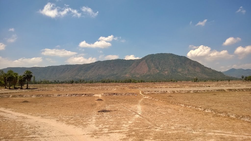 Chơn Cô, An Cư, Tịnh Biên, An Giang, Vietnam by Du Chau