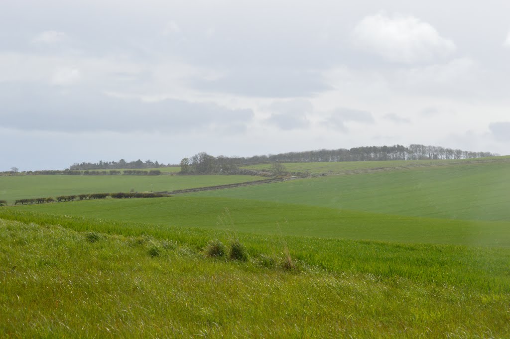 Branxton TD12, UK by Stuart Christie