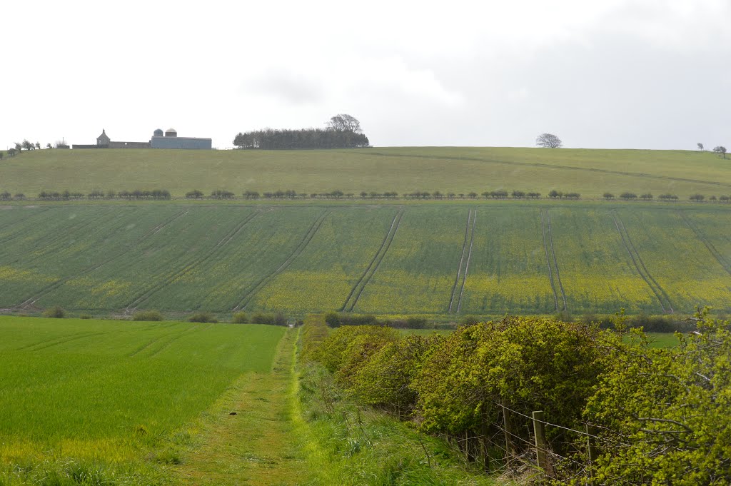 Branxton TD12, UK by Stuart Christie