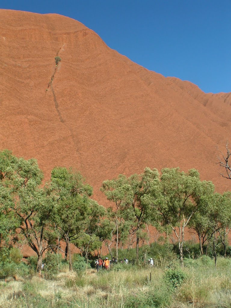 Petermann NT 0872, Australia by Toshiyuki TAKISHIMA