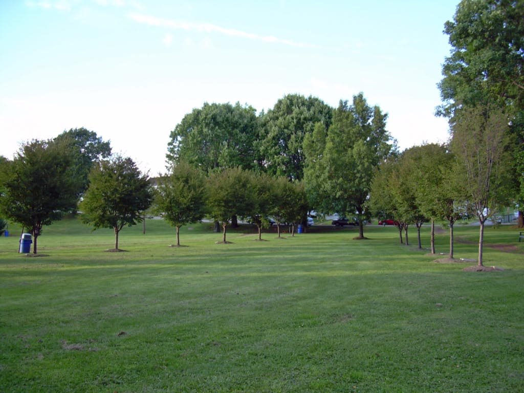 Bernie Fritz Park by mortonfox