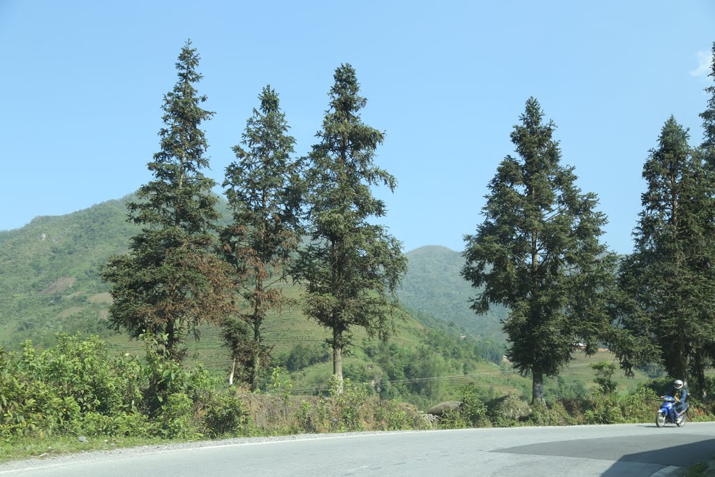 Trung Chải, Sa Pa, Lào Cai, Vietnam by Dần Lê