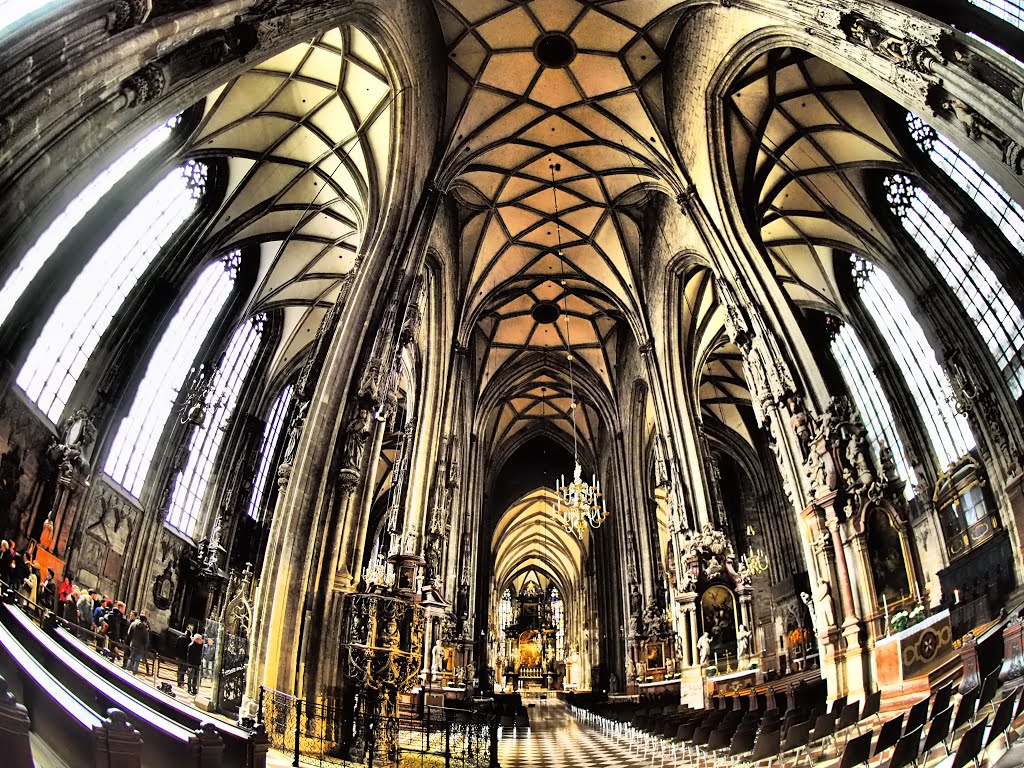 Stephansdom, 1010 Wien, Austria by Tim Gardner