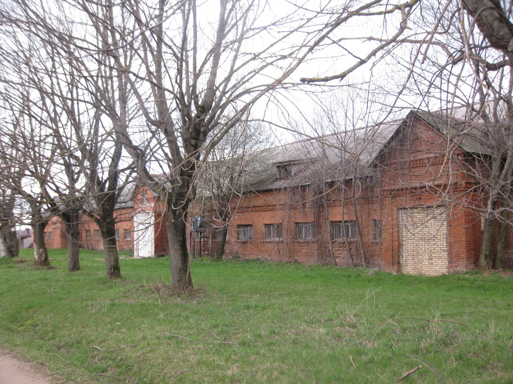 Lugovaya, Lobnya, Moskovskaya oblast', Russia by Tragisk