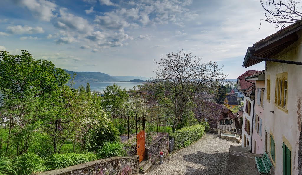 Blick von der Altstadt über den Bielersee, April 2016 by William Von Mansory