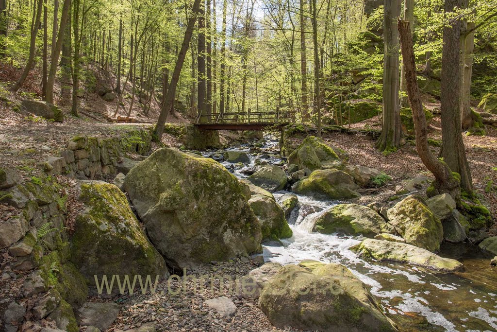 Burgstädt, Germany by joam.tann