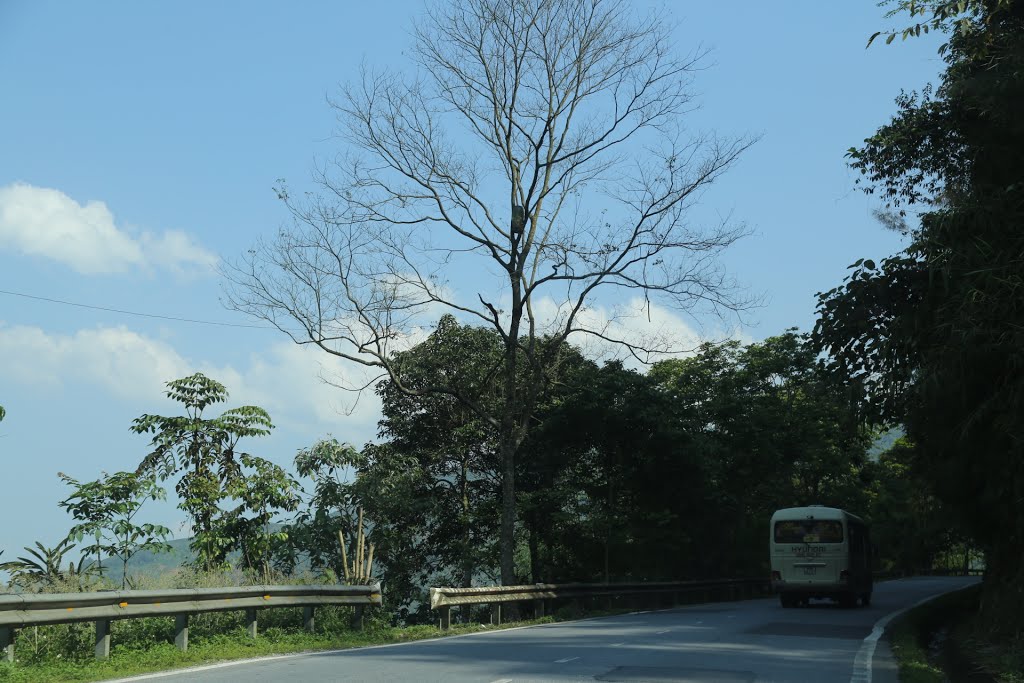 Tòng Sành, Bát Xát, Lào Cai, Vietnam by Dần Lê