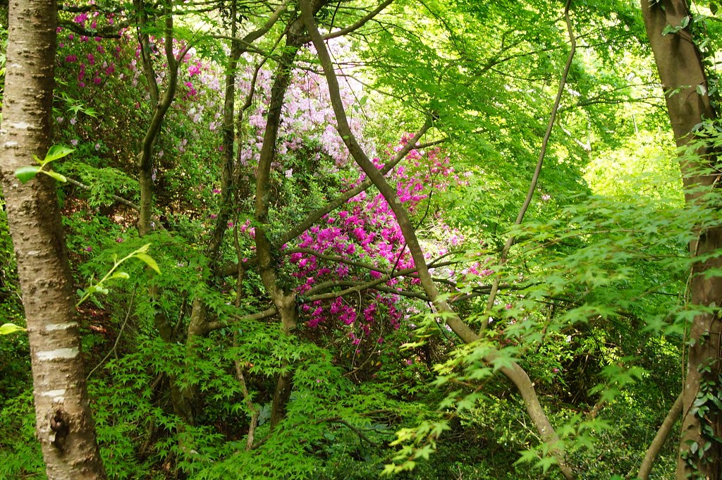 Takeocho Oaza Takeo, Takeo, Saga Prefecture 843-0022, Japan by Aleksei Guzanov