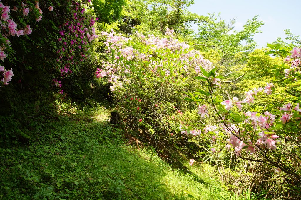 Takeocho Oaza Takeo, Takeo, Saga Prefecture 843-0022, Japan by Aleksei Guzanov