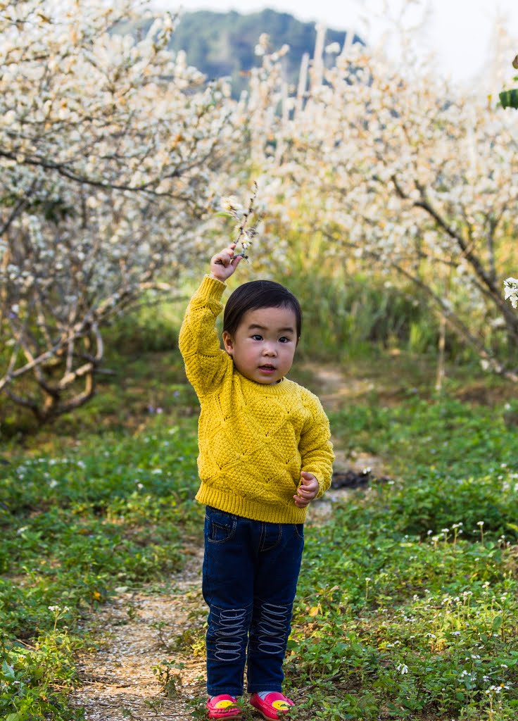 Tràng Định, Lạng Sơn, Vietnam by Hứa Chí Thân