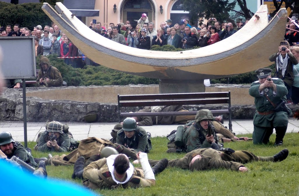 Wodzisław Śląski , Piknik militarno - historyczny. by Tom Luger