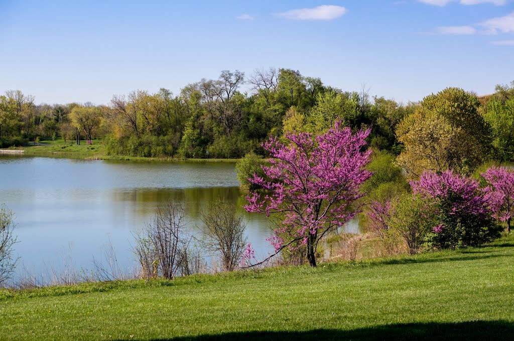 Silver Lake, Spring time by Rich R