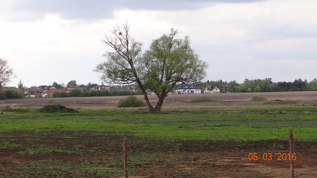 Gmina Michałowice, Poland by Andrzej Wacławek