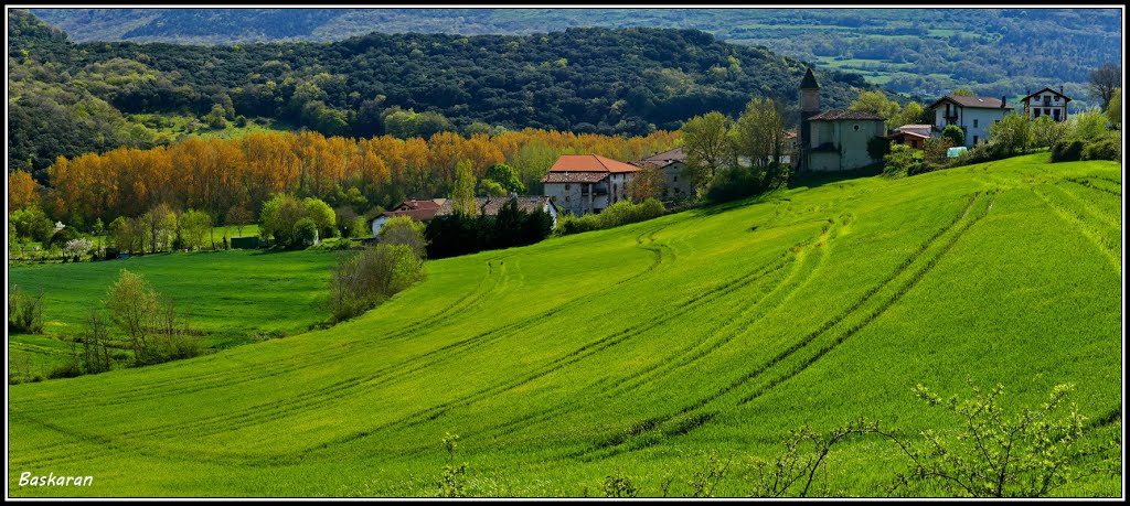 Campos de Navarra - Zona de Anoz by mbaska73