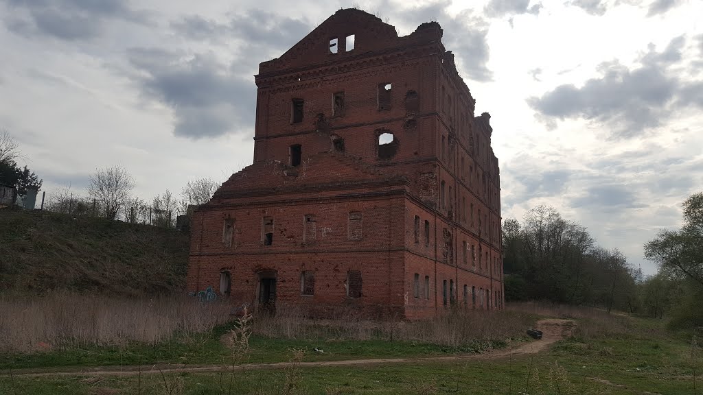 Tarussky District, Kaluga Oblast, Russia by Сергей Маринин