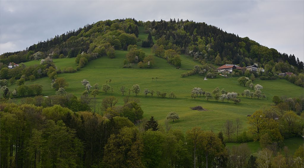 Kirchberg an der Pielach by Normann Steidl