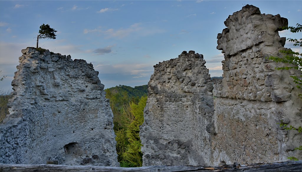 Burgruine Rabenstein by Normann Steidl