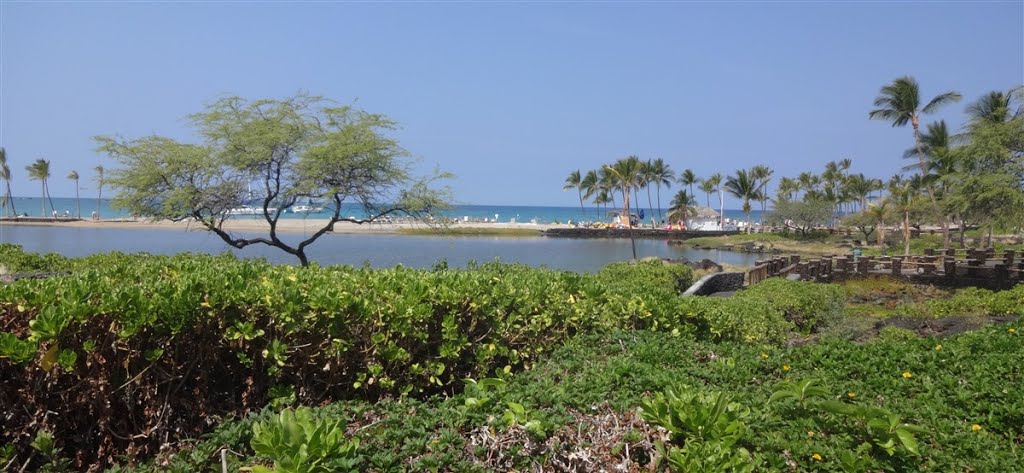 Waikoloa Panorama by kittenpower