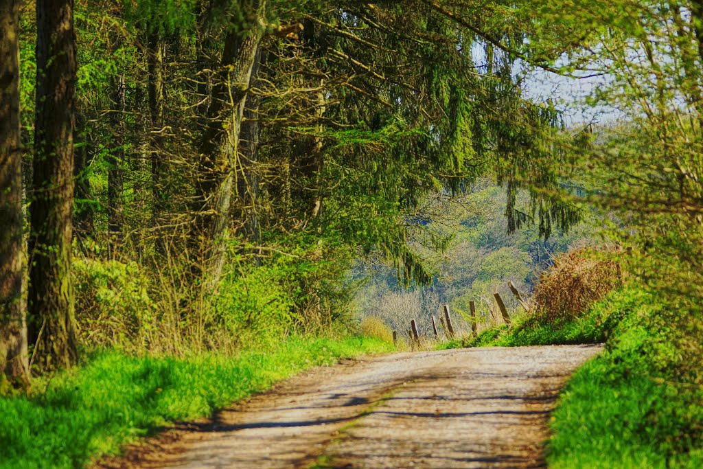 Balve, Germany by Ulrich Rogowski