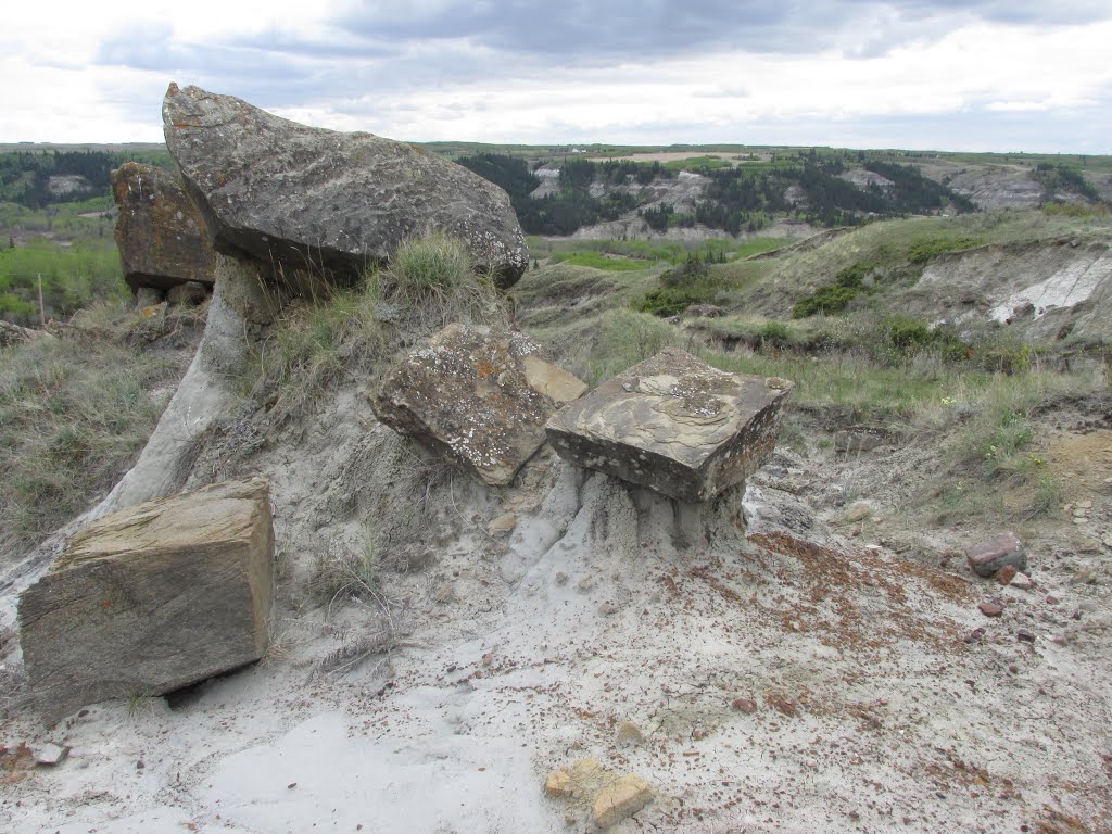 Block Shaped, Squarish Hoodoos In Spring Serenity At McKenzie Crossing Near Big Valley, Alberta Apr '16 by David Cure-Hryciuk