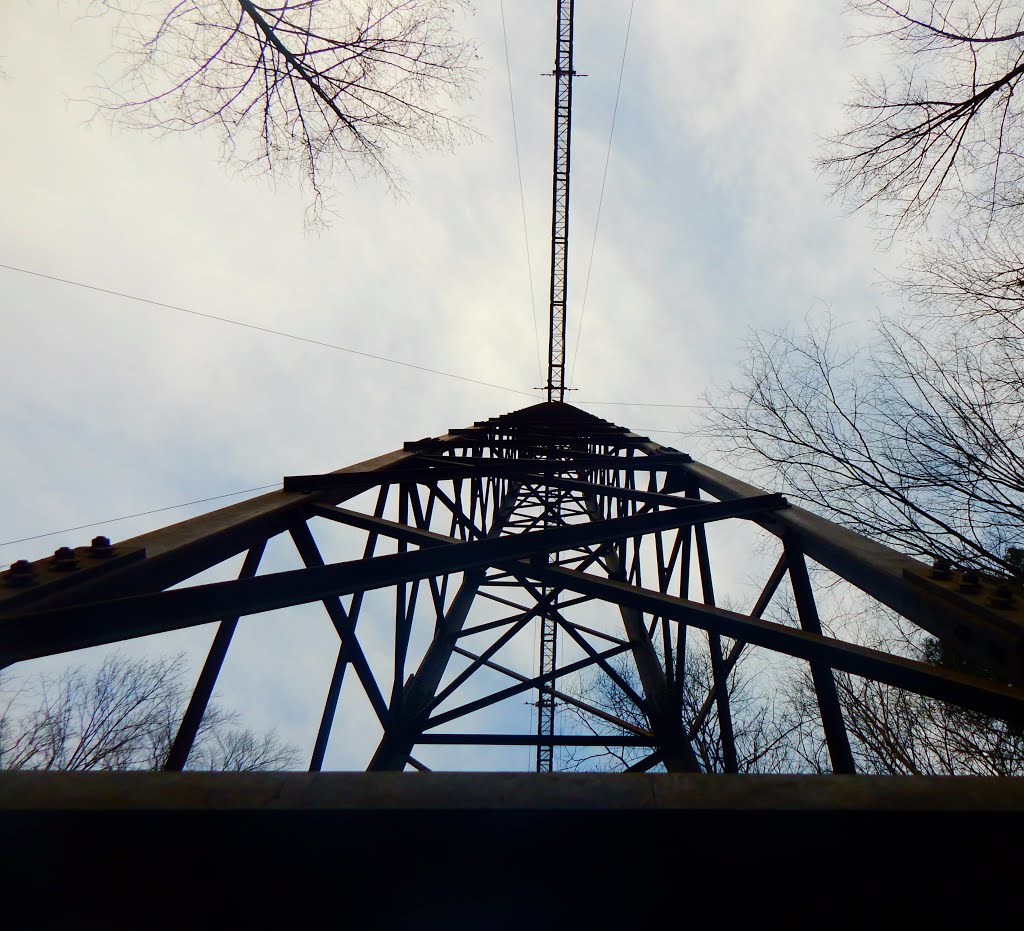 Airport structure inside Coonskin Park by Laura Sunshine