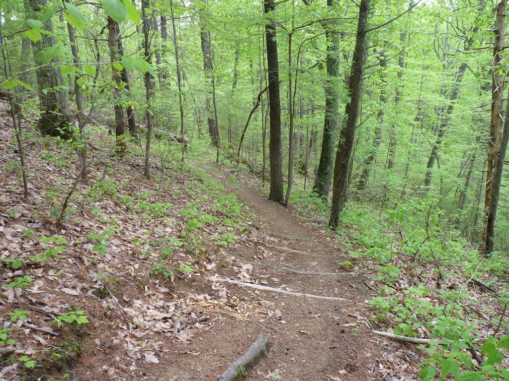 Floyd Field to Bryant Ridge Shelter by '- '