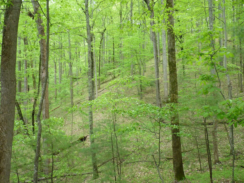 Floyd Field to Bryant Ridge Shelter by '- '