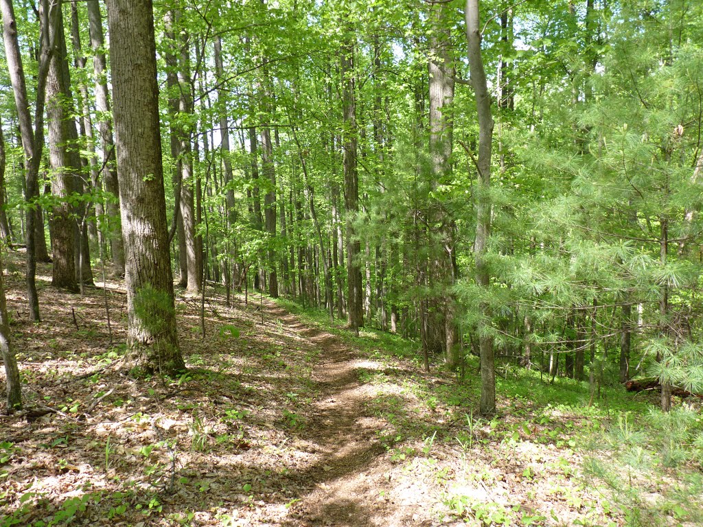 Floyd Field to Bryant Ridge Shelter by '- '