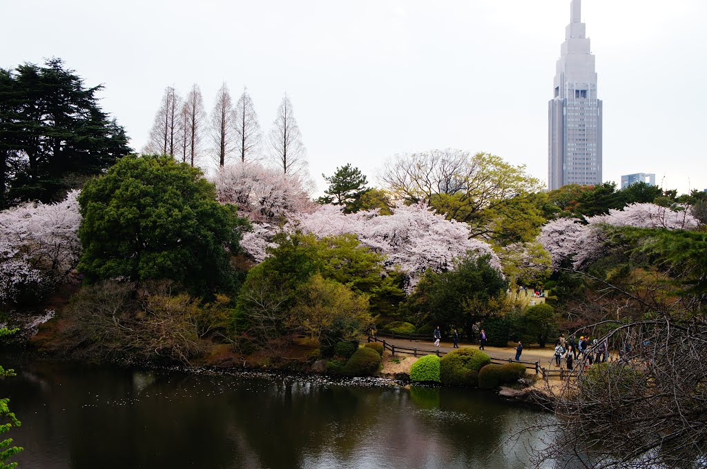 Tokyo-Япония by невяна бончева