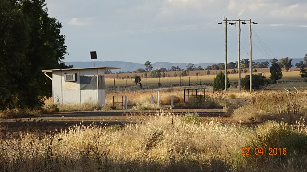 Mickibri Grain Receival Site - Weighbridge - 2016-04-22 by Gary Edwards