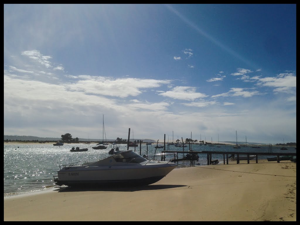 83 Boulevard de la Plage, 33970 Lège-Cap-Ferret, France by Chede lilifrog