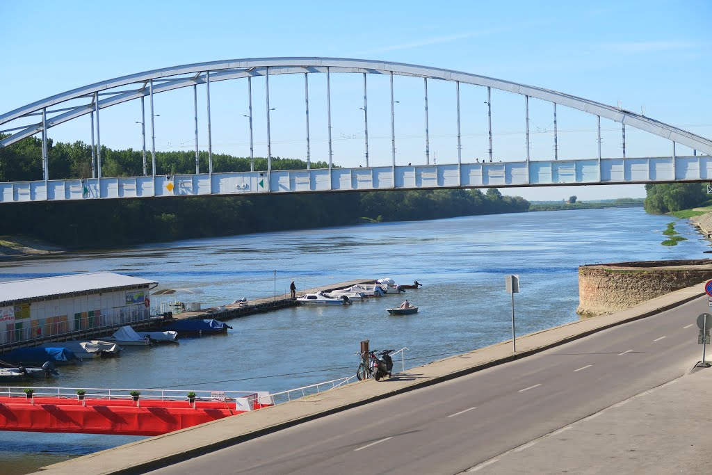 La Tisza qui coule à Szeged by Michel Schaerer