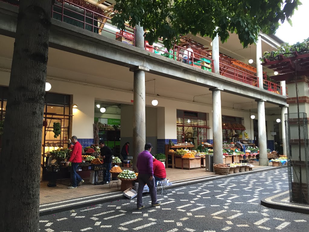 Funchal, Portugal by Scooter Ibcruisin