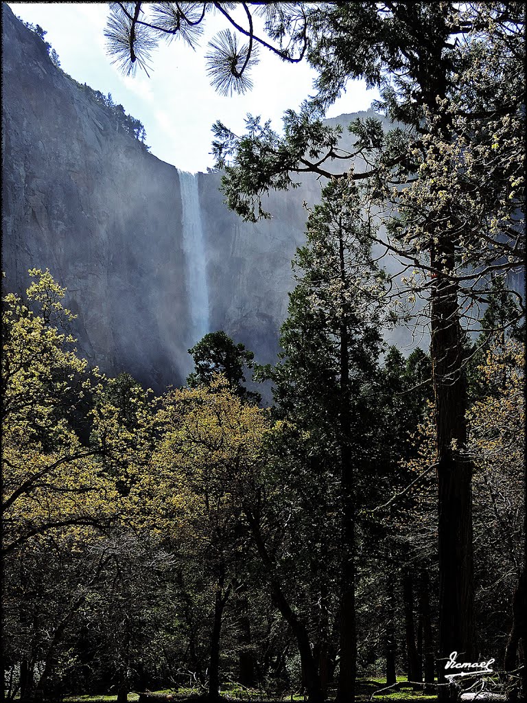 160421-035 YOSEMITE by Víctor Manuel Mamblo…