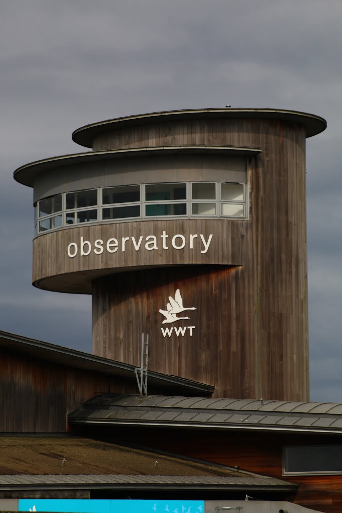 Slimbridge Obsevation Tower by Dicky King