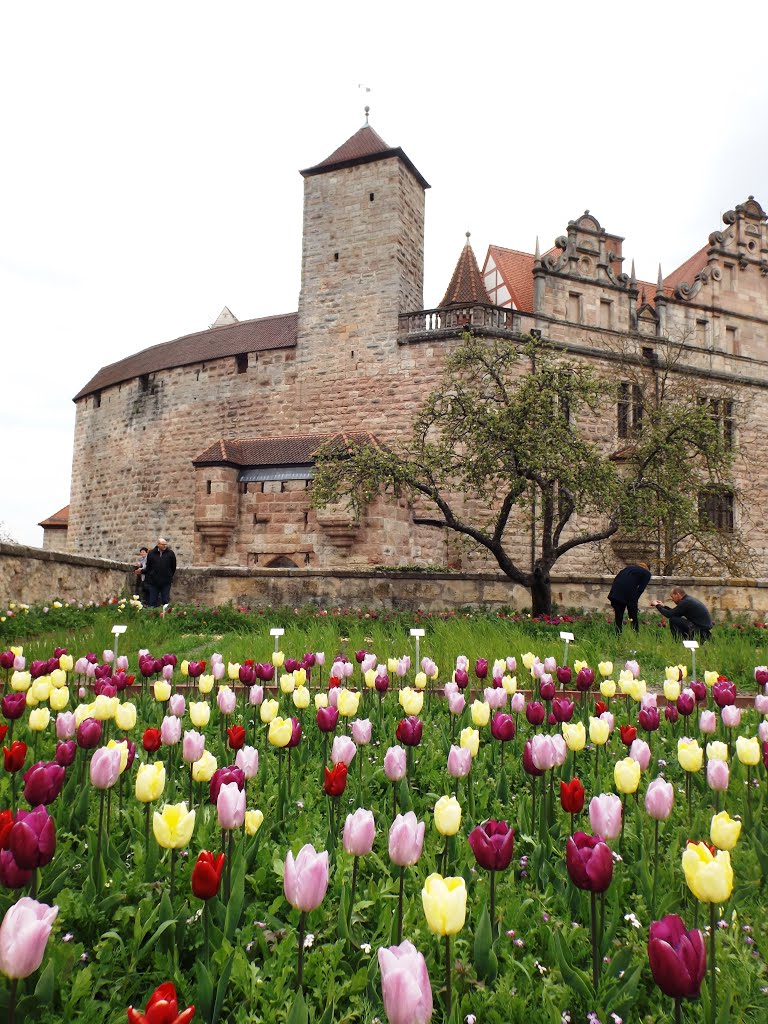 Cadolzburg im Frühling 2016 by Kurdo Kolenko